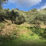 La Pergola Dei Paggi * Sestri Levante