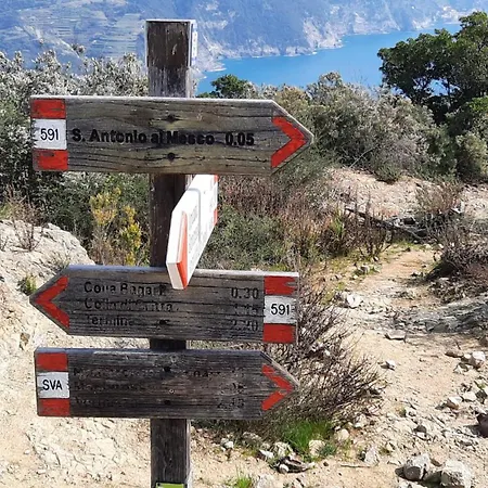 Gospodarstwo agroturystyczne La Pergola Dei Paggi *