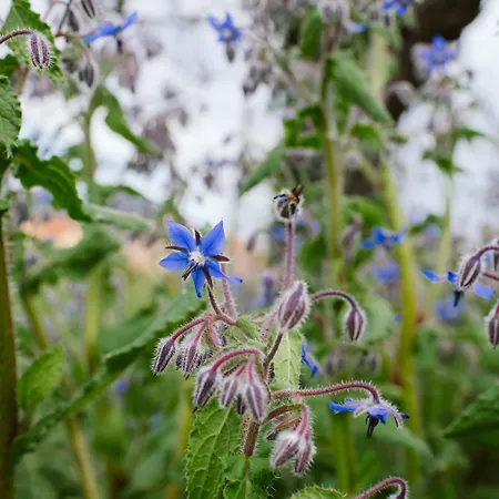 Bauernhof Casa Rucola *