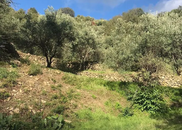 La Pergola Dei Paggi * Sestri Levante