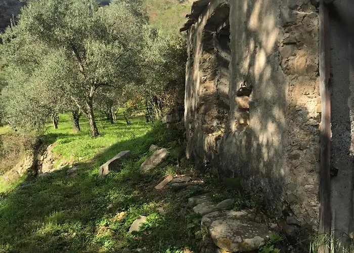 La Pergola Dei Paggi