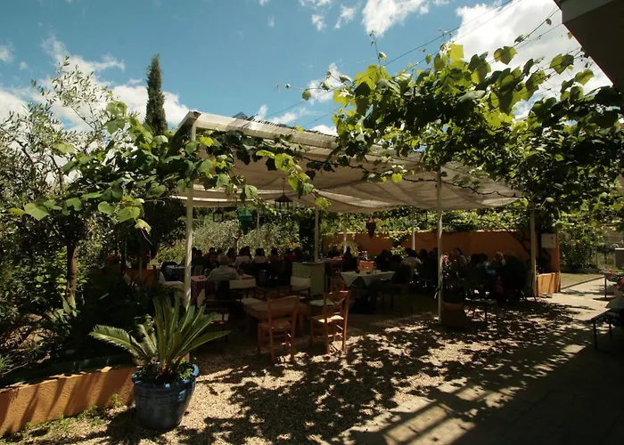 Vakantieboerderij La Pergola Dei Paggi *